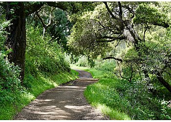 Sunnyvale Hiking Trails Rancho San Antonio Preserve