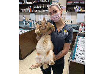Simi Valley Veterinary Clinics Rancho Sequoia Veterinary Hospital