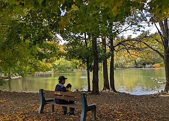 Rand Tract Park - Syracuse, NY Hiking Trails - Attraction Image