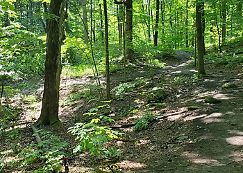 Rand Tract Park - Syracuse, NY Hiking Trails - Trail Image