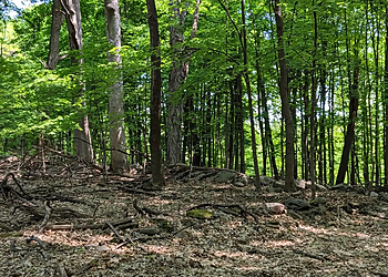 Rand Tract Park Rand Tract Park - Syracuse, NY Hiking Trails - Destination Image