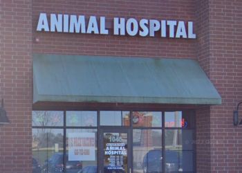 Aurora veterinary clinic Randall Orchard Crossing Animal Hospital