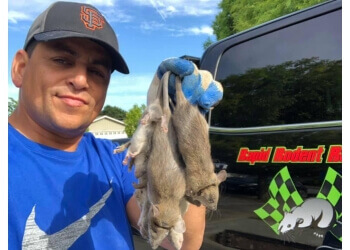 Rapid Rodent Removal San Jose Animal Removal