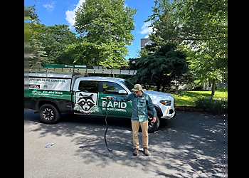 Rapid Wildlife Control Baltimore Animal Removal Rapid Wildlife Control