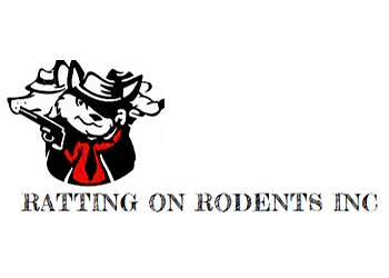 San Jose Animal Removal Ratting On Rodents Inc