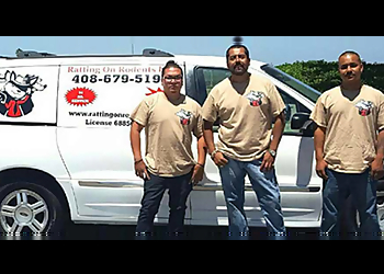 San Jose Animal Removal Ratting on Rodents Inc.