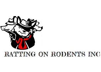 San Jose Animal Removal Ratting on Rodents Inc.