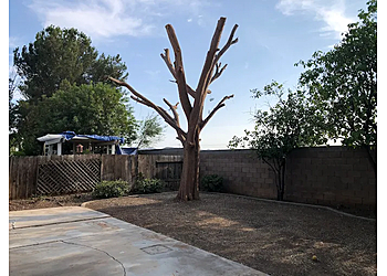Raul's Tree Hauling Services Murrieta Tree Services Raul's Tree Hauling Services