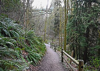 Seattle Hiking Trails Ravenna Park
