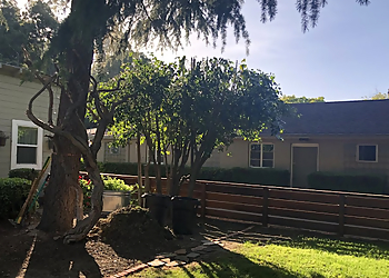 Vallejo Tree Services Ray's Tree Services, Inc.