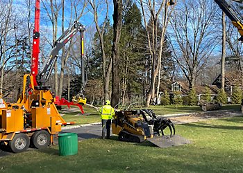 Bridgeport Tree Services Rayzor's Edge Tree Service