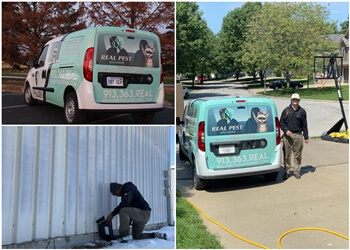 Real Pest Solutions KC, LLC - Olathe, KS Pest Control Companies - Job Site Image