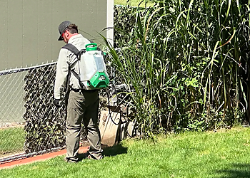 Omaha Pest Control Companies Recon Pest Services