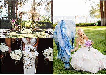 Reno Event Management Companies Red Carpet Events & Design