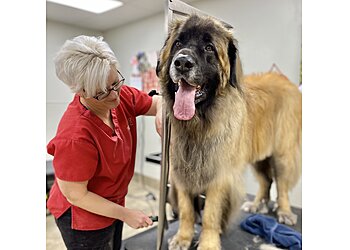 Boston Pet Grooming Red Dog Pet Resort & Spa
