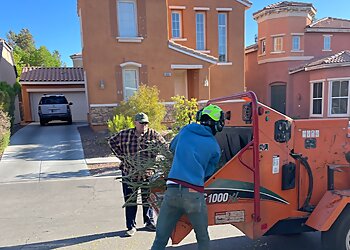 RedGator Tree Trimmin' and Landscape, LLC Henderson Tree Services image 1