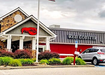 Akron Seafood Restaurants Red Lobster