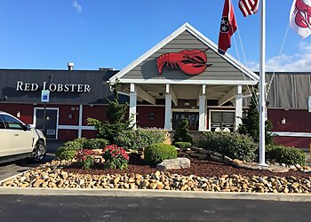 Knoxville Seafood Restaurants Red Lobster