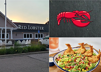Red Lobster Ann Arbor - Ann Arbor, MI Seafood Restaurants - collage image(highlights)