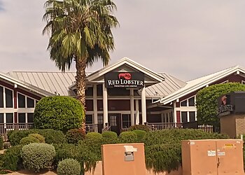 Mesa Seafood Restaurants Red Lobster Mesa