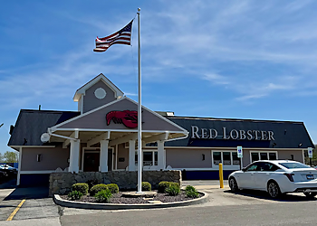 Springfield Seafood Restaurants Red Lobster Springfield