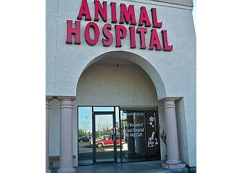 3 Best Veterinary Clinics in Mesa, AZ - Expert Recommendations