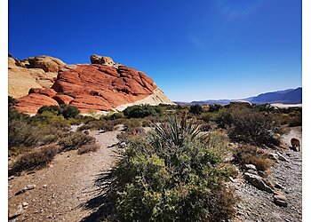 Las Vegas Hiking Trails Red Rock Canyon