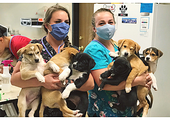 Lakewood Veterinary Clinics Red Rocks Animal Center