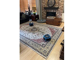 Red Rocks Carpet Cleaning and Upholstery Care Lakewood Carpet Cleaners image 1