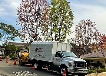 RedWood Tree & Landcare Torrance Tree Services image 1