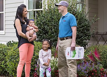 Jackson Pest Control Companies Redd Pest Solutions