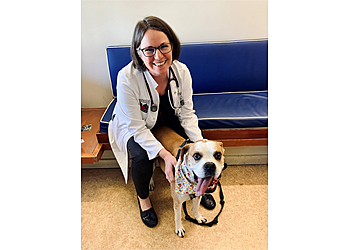 Vallejo Veterinary Clinics Redwood Veterinary Hospital