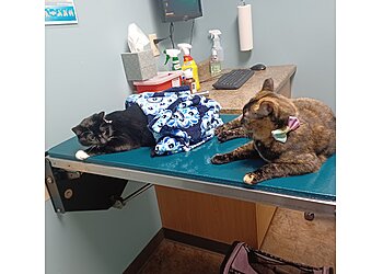 Spokane Veterinary Clinics Regal Veterinary Center