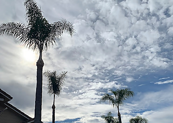 Corona Tree Services Reg's Tree Service