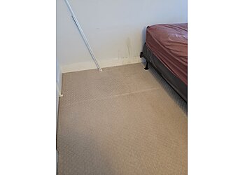 Washington Carpet Cleaners Renaissance Carpet Cleaners
