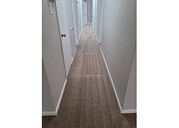 Washington Carpet Cleaners Renaissance Carpet Cleaners
