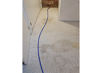 Washington carpet cleaner Renaissance Carpet Cleaners