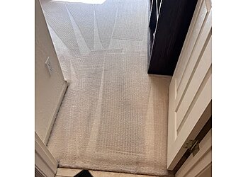 Scottsdale Carpet Cleaners Renew Cleaning Services