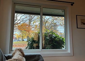 Portland Window Companies Renewal by Andersen