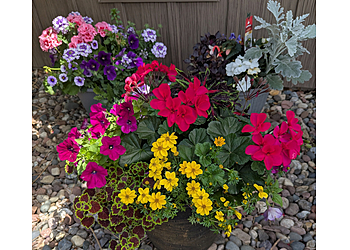 Rochester Florists Rennings Florist & Flower Delivery