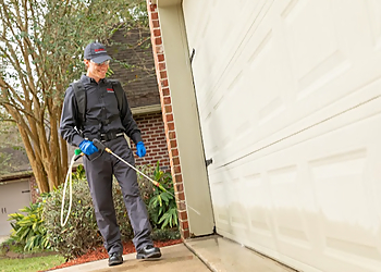 North Las Vegas Pest Control Companies Rentokil North Las Vegas