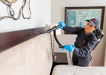 North Las Vegas Pest Control Companies Rentokil North Las Vegas