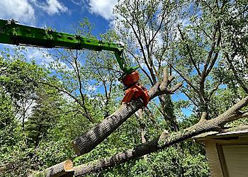 Madison Tree Services Reon Rounds Tree Service