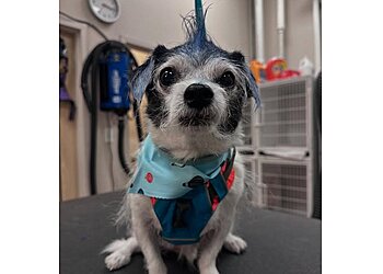 Colorado Springs Pet Grooming Republic of Paws