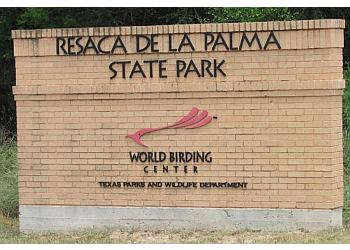 Borderland Beauty: 5 Scenic Hiking Trails in Brownsville – Texas Borderland Beauty: 5 Scenic Hiking Trails in Brownsville – Texas