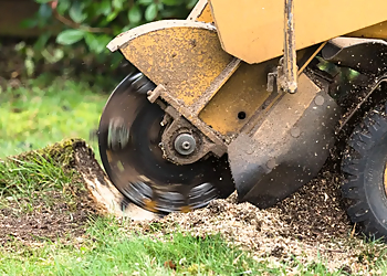 Columbia Tree Services Resource Tree & Land