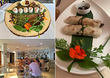 Tampa French Restaurants Restaurant BT