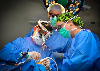 Miami Neurosurgeons Ricardo Jorge Komotar, MD, FAANS, FACS - UNIVERSITY OF MIAMI HOSPITAL AND CLINICS