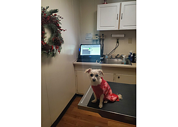 Pasadena Veterinary Clinics Richey Animal Clinic