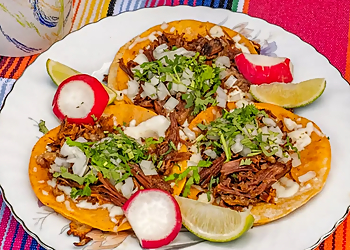 Bridgeport Food Trucks Rico Mac Taco Truck